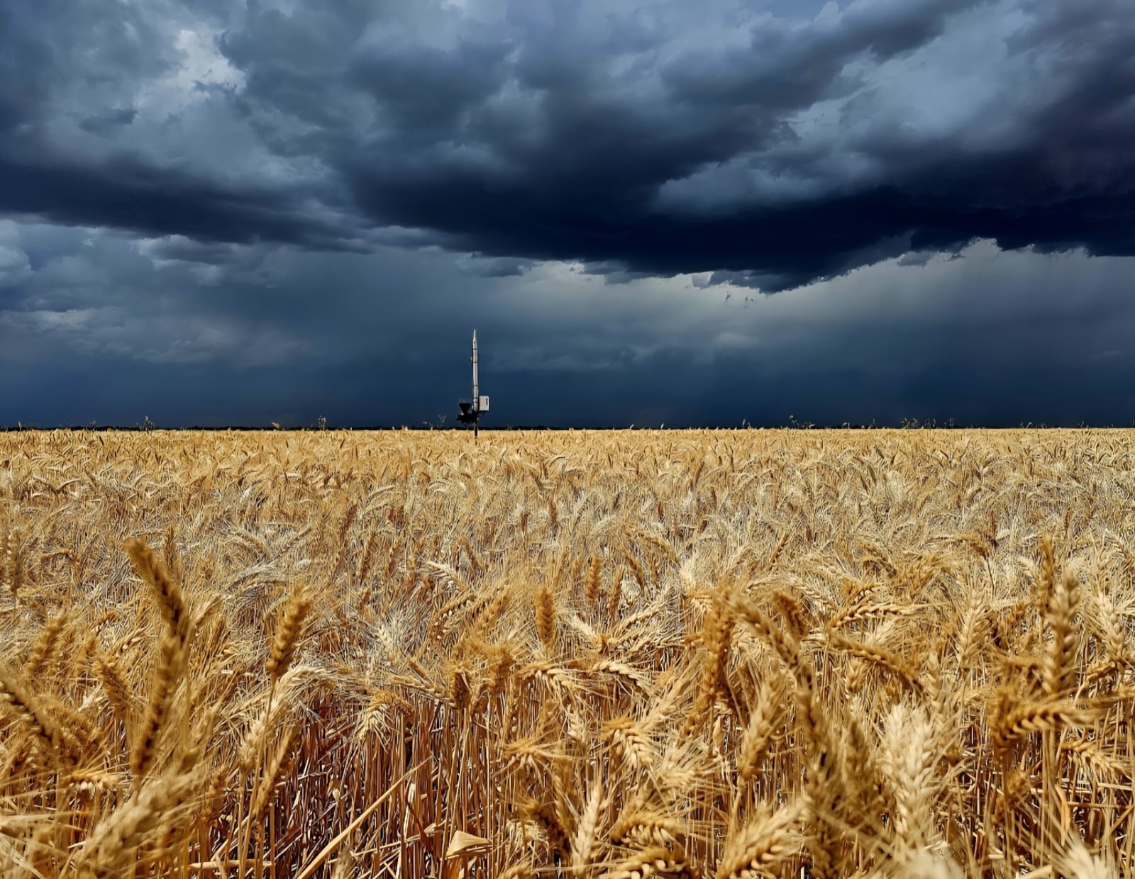 SMART Rain Bucket — in field